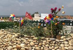 Mezarlığın hüzünlü simgeleri; rüzgar gülleri