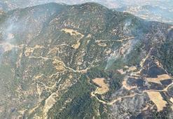 Aydın'daki orman yangını 3'üncü gününde