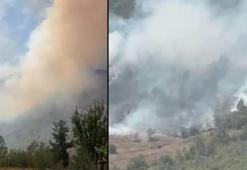 Küre Dağları Milli Parkı'nda orman yangını