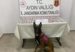 Aydın'da 1383 sentetik hap ele geçirildi: 3 gözaltı