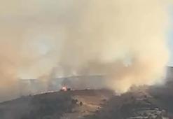Sivas'taki anız yangını ağaçlara sıçradı