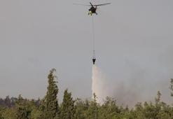 Pamukkale’de çıkan orman yangını söndürüldü; 3 gözaltı