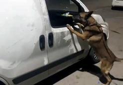 Araçtaki koltuğun altından 5 kilo esrar çıktı; ‘Kim koydu bilmiyoruz’ dedi