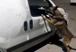 Araçtaki koltuğun altından 5 kilo esrar çıktı; ‘Kim koydu bilmiyoruz’ dedi