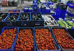 'Sınırdan çıktıktan sonra geri dönen kalıntılı ürün 'ithal' sayılır, ülkeye sokulmaz'