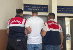 MİT'ten siber dolandırıcılık operasyonu; 1250 site erişime kapatıldı