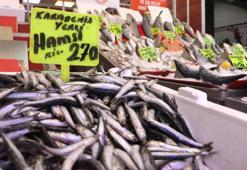 Samsun'da av sezonun ilk balıkları tezgaha çıktı