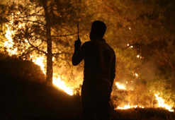 Aydın'daki orman yangını 4'üncü gününde