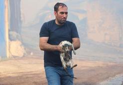 Alevlerin arasına girip kediyi kurtardı