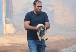 Alevlerin arasına girip kediyi kurtardı