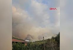 Kastamonu'daki orman yangınları 2'nci gününde