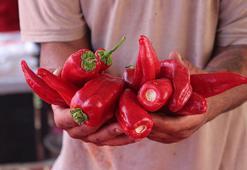 Tescilli biberin salça yolculuğu başladı