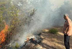 Kastamonu'daki orman yangınları 2'nci gününde
