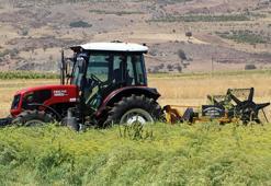 Türkiye'nin rezene bahçesi Burdur'da sezonun son hasadı yapıldı
