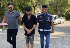 Park halindeki kamyonetin 10 bin lira değerindeki havalı kornasını çaldı