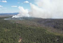Karabük ve Kastamonu’da orman yangınlarına müdahale sürüyor