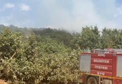 Bingöl’de orman yangını kontrol altında