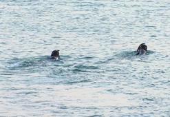 Küçükçekmece’de denizde hareketsiz kişi ihbarını araştıran ekipler, hayvan bağırsağı buldu