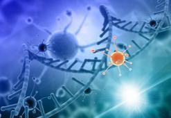 Altınbaş Üniversitesi'nden kansere karşı uluslararası iş birliği