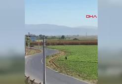 İzmir'de eğitim uçağı düştü: 1 ölü