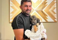 Trafik kazasında felç kalan yavru köpek 'Nazlı'yı tedavi ettirip sahiplendi