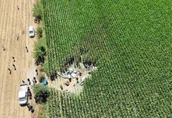 Eğitim uçağı mısır tarlasına düştü; öğrenci pilot Berfu hayatını kaybetti