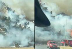 Aydın'da maki yangını