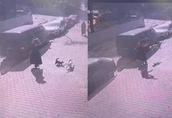 Sultangazi'de yürüyüş yapan kadın ve köpeğine, kedinin saldırdığı anlar kamerada