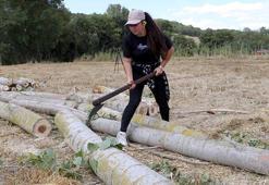 Kereste şirketi sahibi Yonca, testere ile ağaç kesiyor, nakliye yapıyor