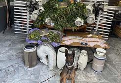 İzmir’deki uyuşturucu operasyonlarında 11 tutuklama