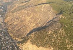 Aydın'daki orman yangını 17 saat sonra kontrol altına alındı