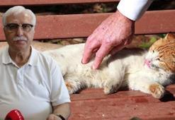 Prof. Dr. Özlü'den 'hayvan tüyü' uyarısı