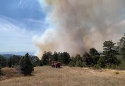 Bursa’da orman yangını kontrol altında