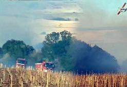 Tekirdağ'da anız yangını ormana sıçradı; 3 saatte kontrol altında
