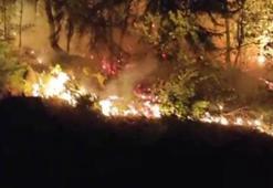 Düzce Yığılca'da orman yangını; 2 saatte kontrol altında
