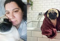 Sahibinin tatile çıkarken pet otele bıraktığı ‘Alf’ öldü