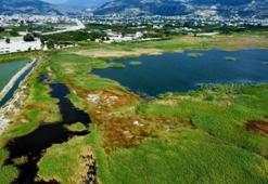Milleyha Sulak Alanı, 'Doğal Sit Alanı' olarak tescil edildi