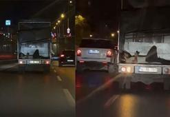 Kamyonetin arka kapağı açık olan kasasında tehlikeli yolculuk kamerada