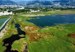 Milleyha Sulak Alanı, 'Doğal Sit Alanı' olarak tescil edildi