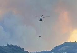 Bursa'da orman yangını