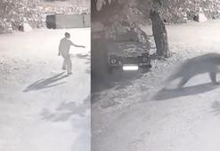 Köye inen ayıyı el fenerleriyle kovaladılar