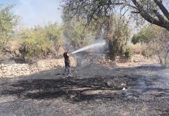 Mardin'in 2 ilçesinde çıkan örtü yangını söndürüldü