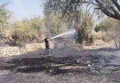 Mardin'in 2 ilçesinde örtü yangını