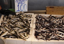 Av yasağı bitti, tezgahlar istavritle doldu