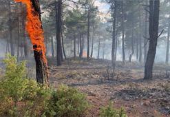 Yıldırım düşen ormanda çıkan yangında 1 hektar alan zarar gördü