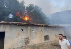 Hakkari'de çıkan orman yangını kontrol altına alındı