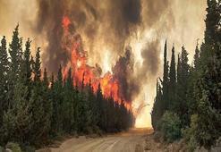 Çanakkale'de orman yangınlarına karşı yeni tedbirler alındı
