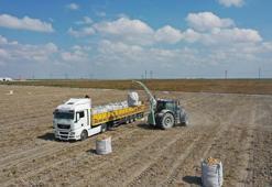 Erkoyuncu: 2027'de patates tohumunu dış alıma ihtiyaç duymadan üreteceğiz