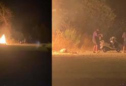 Ormanı ateşe verdiler; o anlar kamerada