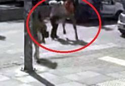 Yol verme kavgasında darbedilen kadın yaralandı; o anlar kamerada